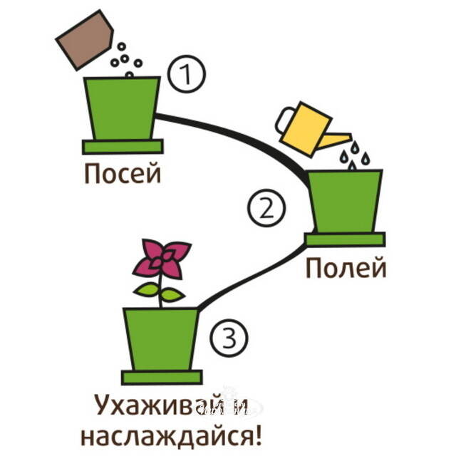 Набор для выращивания Томат Черри в горшке Happy Plant