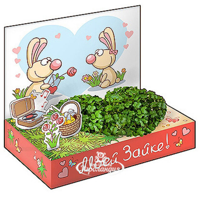 Подарочный набор Живая открытка - Моей зайке Happy Plant (Хэппи Плант)