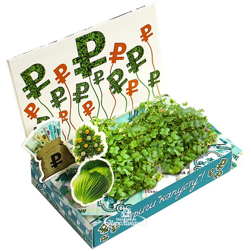 Подарочный набор Живая открытка - Стриги капусту Happy Plant
