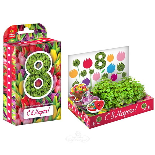 Подарочный набор Живая открытка - С 8 Марта, Тюльпаны Happy Plant