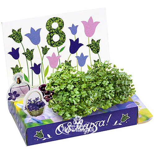 Подарочный набор Живая открытка - С 8 марта, Колокольчики Happy Plant