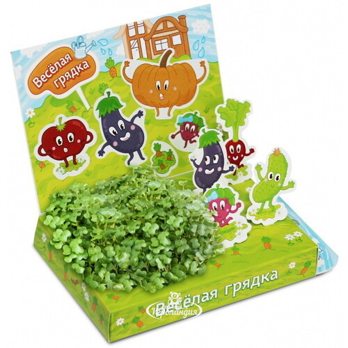Детский набор для выращивания Живая Открытка - Веселая Грядка Happy Plant