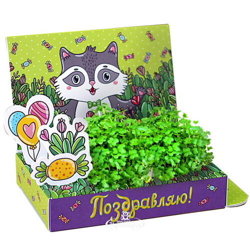 Подарочный набор Живая открытка - Поздравляю Happy Plant
