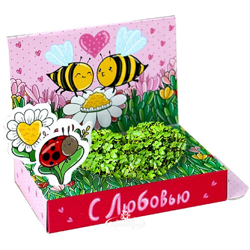 Подарочный набор Живая открытка - С Любовью Happy Plant
