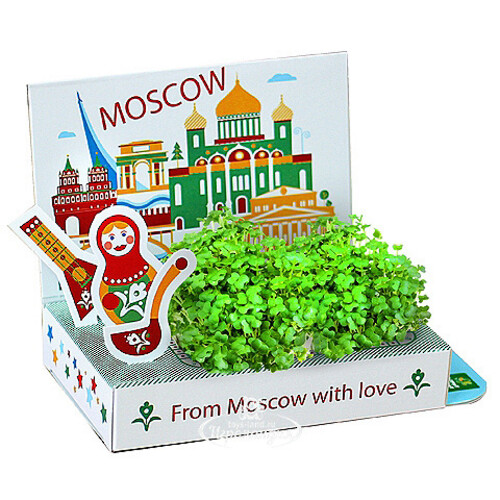 Подарочный набор Живая открытка - Из Москвы с любовью - 1 Happy Plant