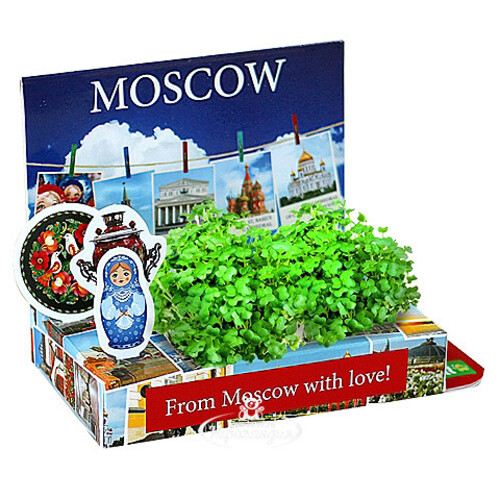 Подарочный набор Живая открытка - Из Москвы с любовью - 2 Happy Plant
