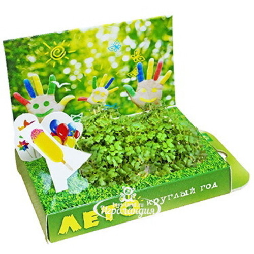 Подарочный набор Живая открытка - Лето круглый год Happy Plant