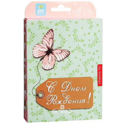 Подарочный набор Живая открытка - С Днём Рождения, с бабочкой Happy Plant