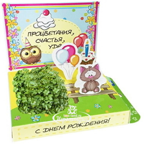 Подарочный набор Живая открытка - С Днём рождения, с котиком Happy Plant