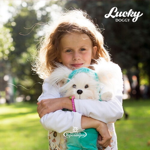Мягкая игрушка Собака Lucky Mimi: Фитнес 25 см Orange Toys