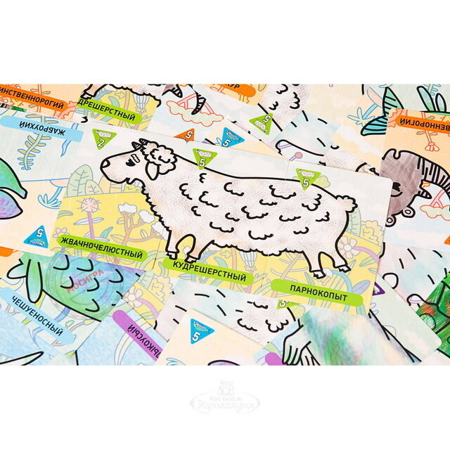 Настольная игра Зоомагия Магеллан