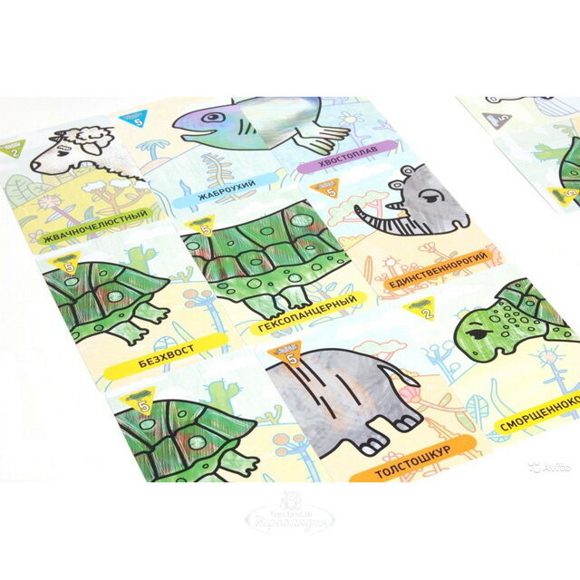 Настольная игра Зоомагия Магеллан