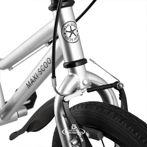 Двухколесный велосипед Maxiscoo Stellar 18" серебряный Maxiscoo