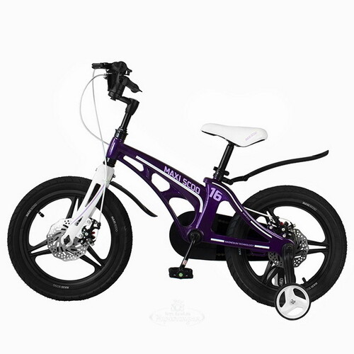 Двухколесный велосипед Maxiscoo Cosmic Delux 16" лиловый Maxiscoo