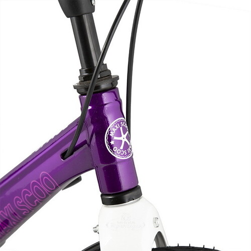 Двухколесный велосипед Maxiscoo Space Delux 18" лиловый Maxiscoo