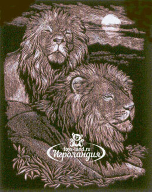 Гравюра медная "Величественные львы", 20*30 см Reeves