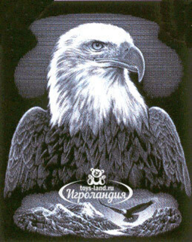 Гравюра серебрянная Орёл, 30*20 см Reeves (Ривс)