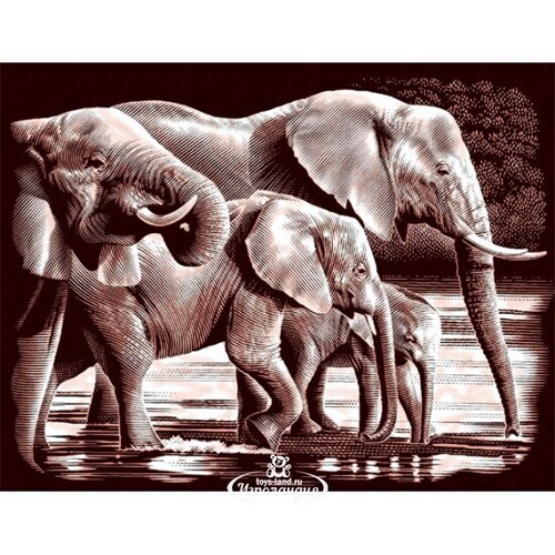 Гравюра медная Слоны на водопое, 30*20 см Reeves