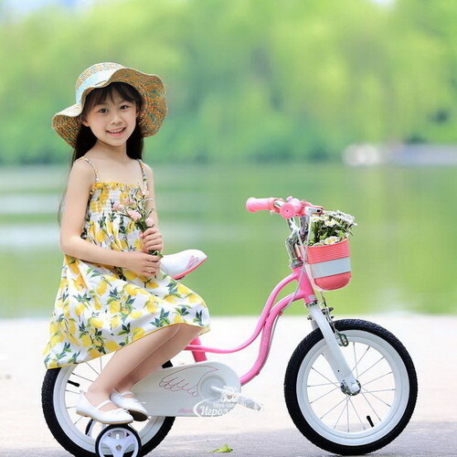 Двухколесный велосипед Royal Baby Little Swan 12" розовый Royal Baby