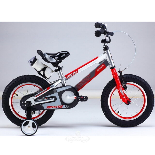 Двухколесный велосипед Royal Baby Freestyle Space 18" серебряный Royal Baby