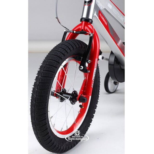 Двухколесный велосипед Royal Baby Freestyle Space 18" серебряный Royal Baby