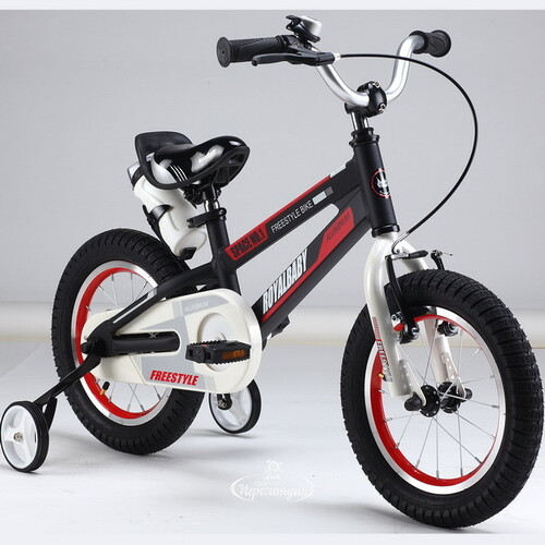 Двухколесный велосипед Royal Baby Freestyle Space 18" черный Royal Baby