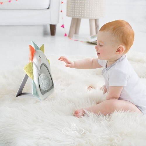 Развивающая игрушка-зеркало Солнышко 25 см Skip Hop
