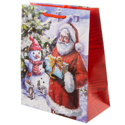 Подарочный пакет Санта Клаус и Снеговичок Лэнни 25*20 см Due Esse Christmas