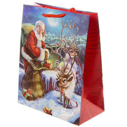 Подарочный пакет Дедушка Санта на Северном Полюсе 25*20 см Due Esse Christmas