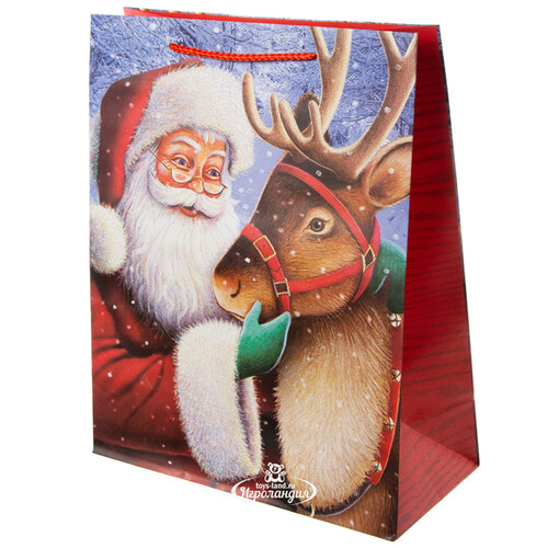 Подарочный пакет Санта с северным другом 33*27 см Due Esse Christmas
