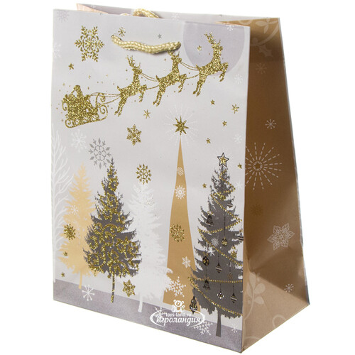 Подарочный пакет Magic Christmas - Полёт Санты 25*20 см Due Esse Christmas