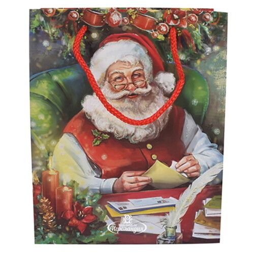 Подарочный пакет Senior Claus 18*14 см Due Esse Christmas
