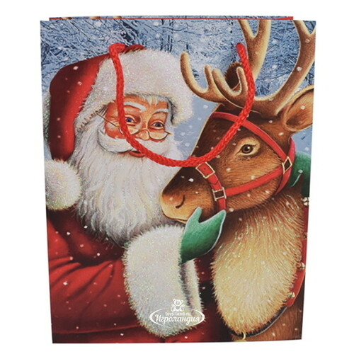 Подарочный пакет Christmas Lullaby 18*14 см Due Esse Christmas