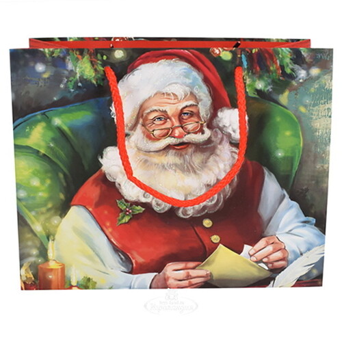 Подарочный пакет Senior Claus 23*18 см Due Esse Christmas
