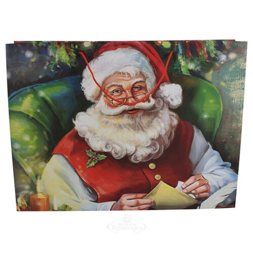 Подарочный пакет Senior Claus 55*40 см Due Esse Christmas