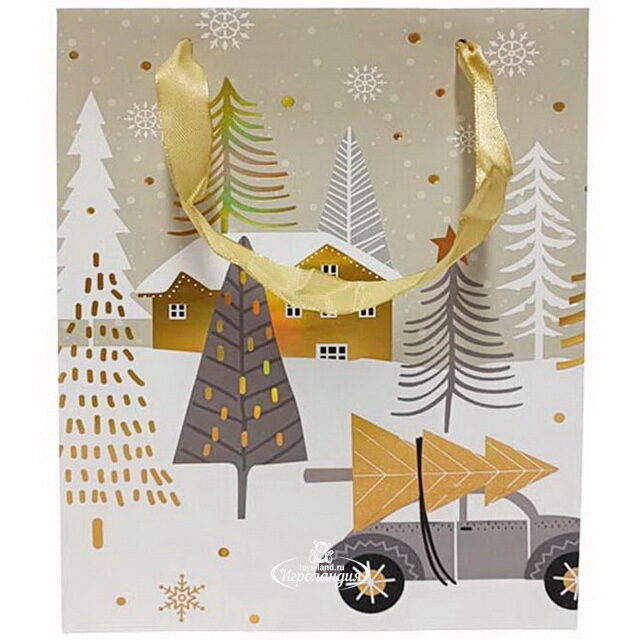 Подарочный пакет Merry Driving 24*18 см Due Esse Christmas