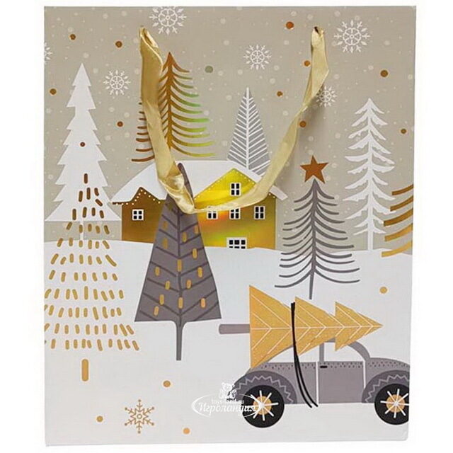 Подарочный пакет Merry Driving 32*26 см Due Esse Christmas