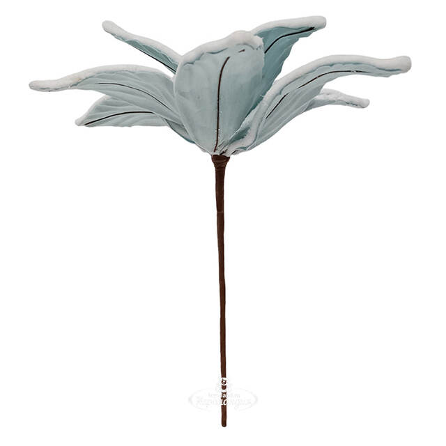 Пуансеттия Georgette 30 см бирюзовая, на стебле Due Esse Christmas