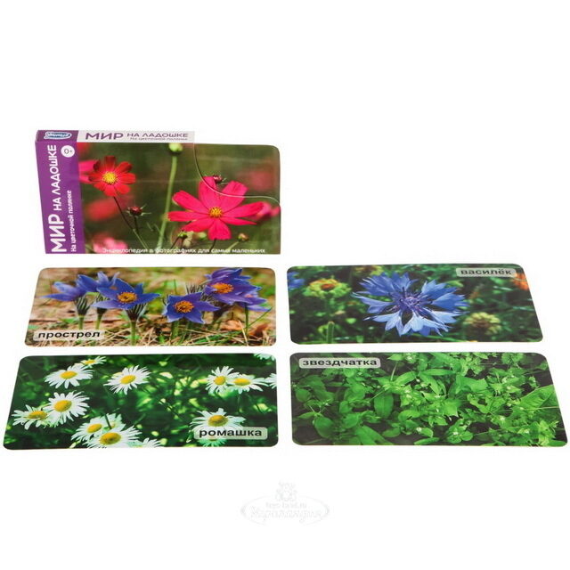 Набор карточек "Мир на ладошке. На цветочной полянке" Умница