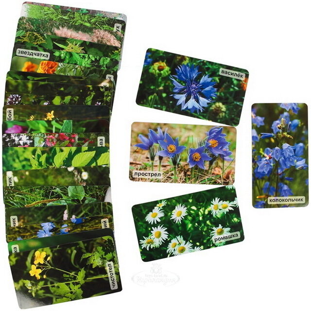 Набор карточек "Мир на ладошке. На цветочной полянке" Умница
