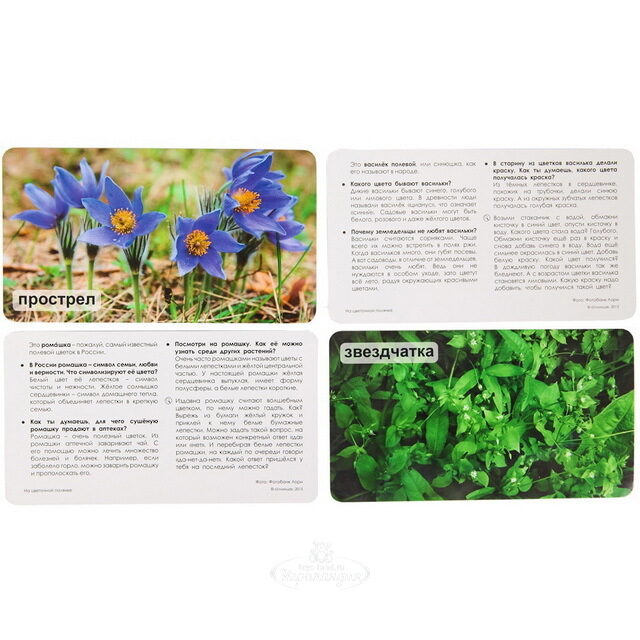 Набор карточек "Мир на ладошке. На цветочной полянке" Умница