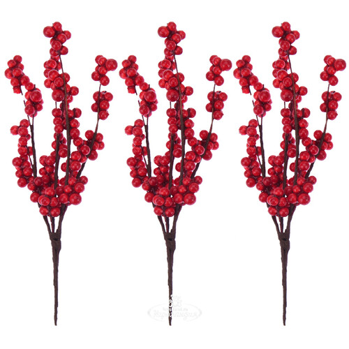 Декоративные ягоды Nandina 15 см, 3 шт Koopman
