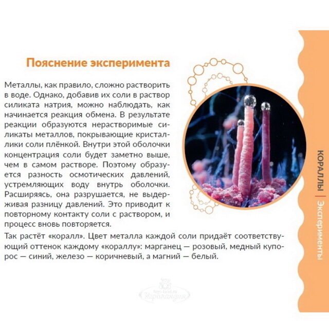 Набор для исследований Лаборатория кораллов Трюки науки