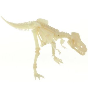Набор для раскопок Оживи Динозавра - ДНК Тираннозавра с дополненной реальностью 4M фото 6