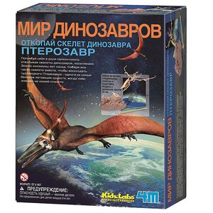 Набор для раскопок Скелет Птерозавра 4M фото 1