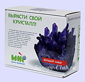 Набор для выращивания Волшебные Кристаллы - сапфировый Брик Ник фото 1