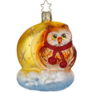 Стеклянная елочная игрушка Сова Сладкие Сны 9 см Inge Glas фото 1