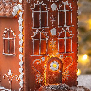 Пряничный Домик с подсветкой Ginger Wonders 20 см Winter Deco фото 2