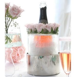 Форма для льда - охладитель для вина Gomez 18 см Ideas4Seasons фото 3