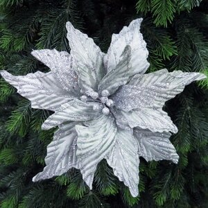 Пуансеттия Stella di Natale - Silver 30 см, клипса Edelman фото 1